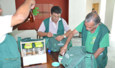 Ação dengue