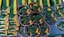 miniatura, Canguru.png