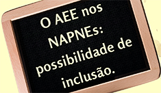 NAPNE_miniatura matéria.jpg