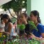 projeto limpo verde