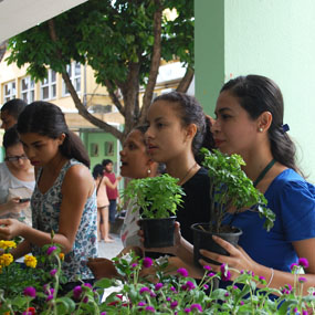projeto limpo verde