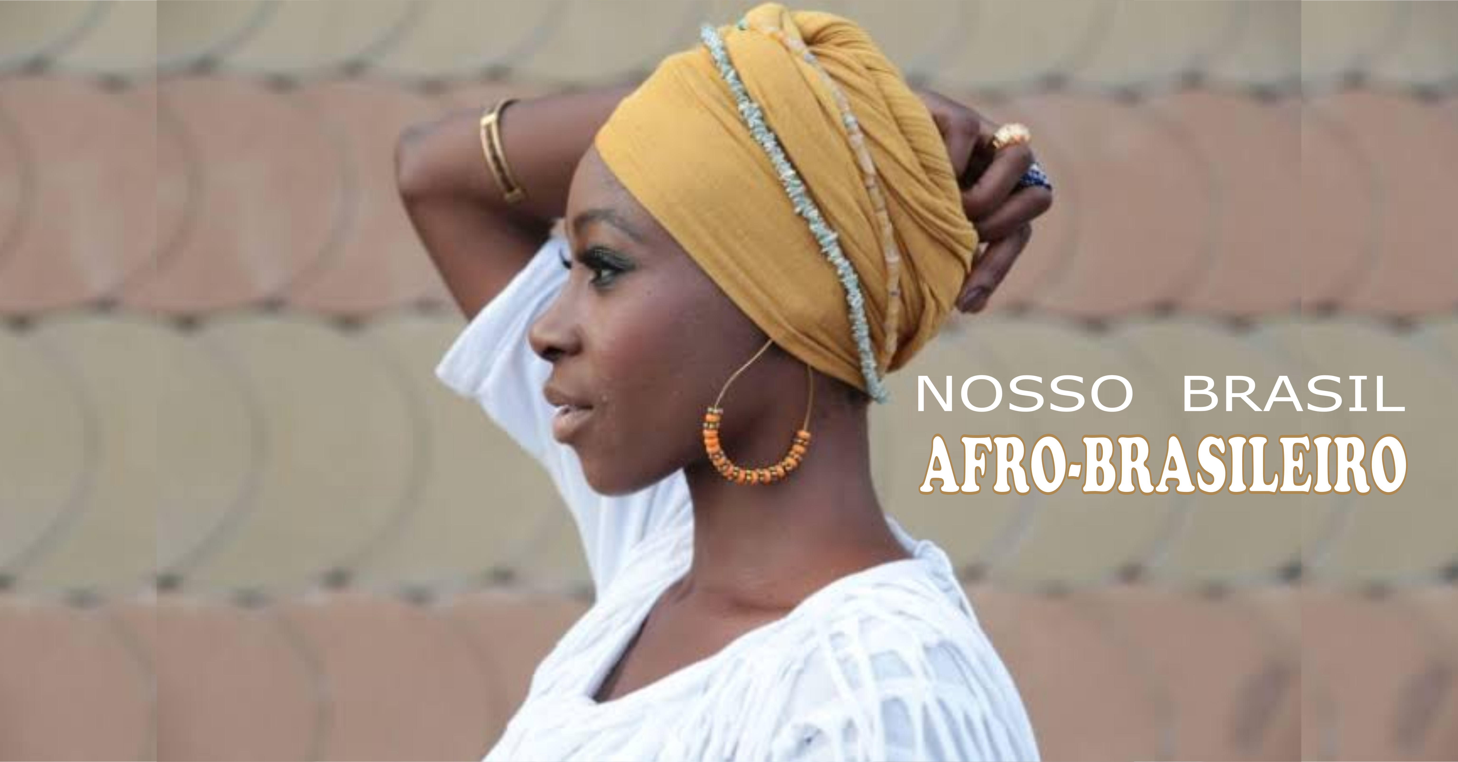 Brasil Afro-brasileiro.png