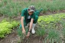 Agropecuária_01