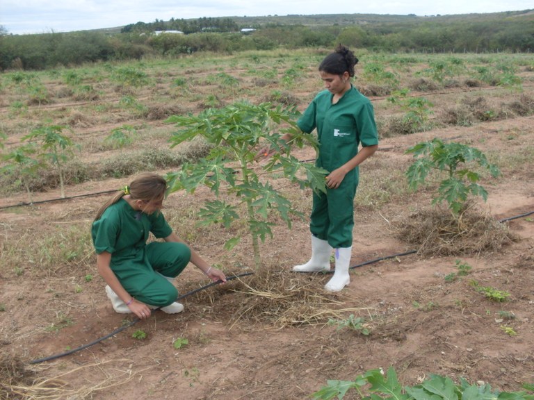 Agropecuária_02