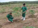 Agropecuária_02