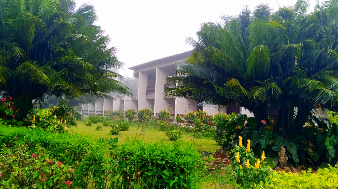 WhatsApp Image 2019-07-30 at 14.16.01.jpeg