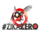 zicazero.jpg