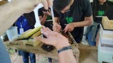 Um meliponário foi visitado e permitiu as práticas aos alunos (Foto: Flávio Dias)