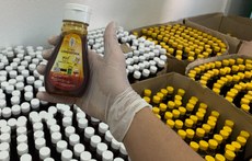 Produção de mel é um dos destaques da economia rural em Mombaça (Foto: José Carlisson)