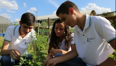 Alunos do campus de Tauá durante aula prática