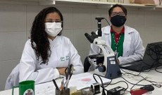 Sophia Martins é egressa do IFCE e, junto com o professor Felipe Augusto, integra a equipe vencedora