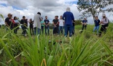 Visitas e aulas de campo são um diferencial para a formação no IFCE Crateús (Foto: arquivo pessoal)