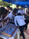 Festa anual das árvores