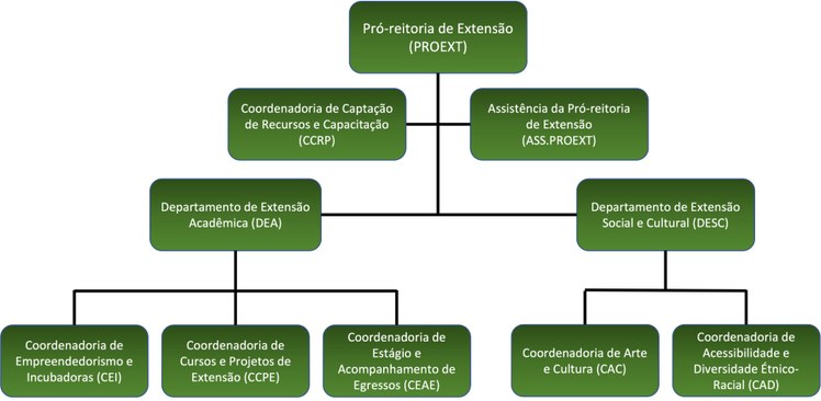 Organograma PROEXT - 08-2021.jpg