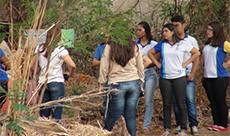 Replantio de mudas.JPG