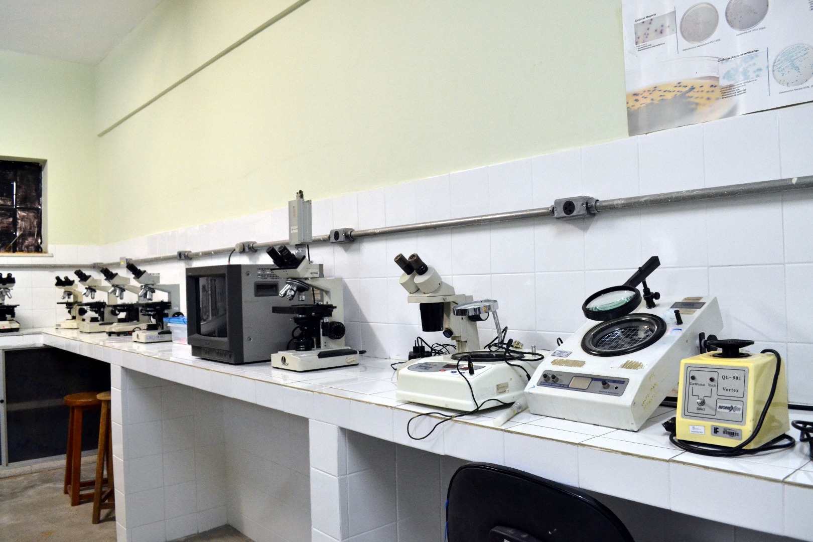 Lab Analises Microbiologicas de Aguas  e Afluentes- LAMAE.JPG