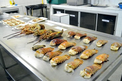 Plano Piloto de Carnes e Pescados 1.jpg Plano Piloto de Carnes e Pescados 1.jpg