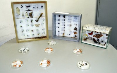 Lab de Fitossanidade.JPG Lab de Fitossanidade.JPG