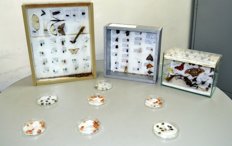 Lab de Fitossanidade.JPG