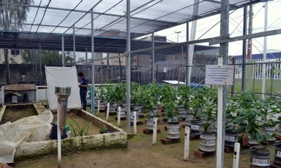 Telado Agrícola.JPG Telado Agrícola.JPG