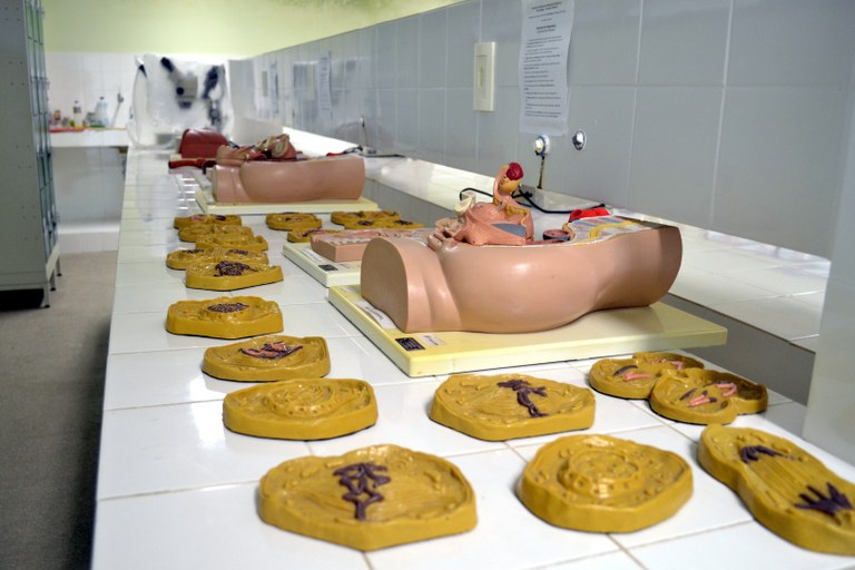 Lab de Biologia.JPG