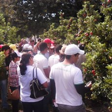 Visita fazenda Sem Fronteira, produtora de maça em parceria com a Embrapa Tropical, em Tianguá