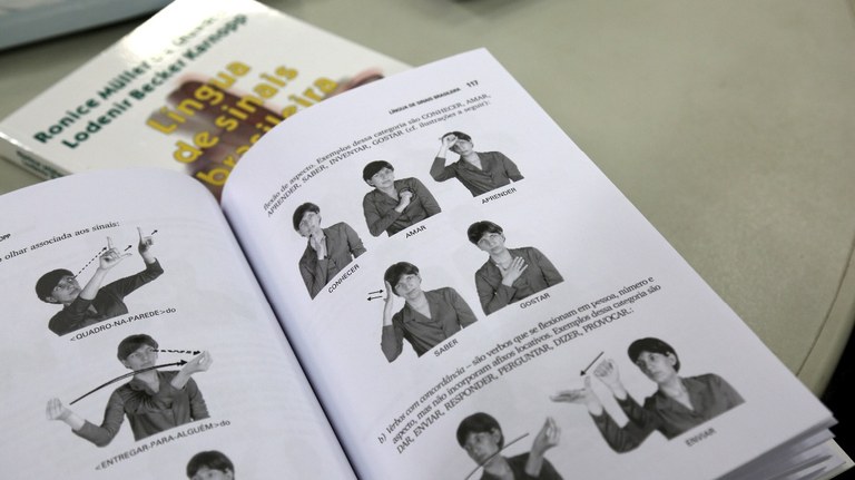 Livros sobre libras Livros sobre libras