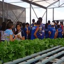 Alunos das escolas locais visitando a estufa do campus.
