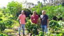 Professores em visita à fazenda de produção de café
