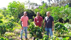 Professores em visita à fazenda de produção de café