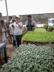 Estudantes em estufa