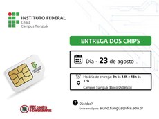 Solicitação de Chip