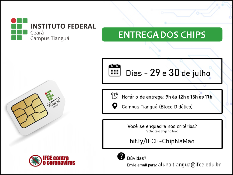 Entrega de Chips - Lote 2