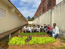 Horta plantada na Escola Cívico-Militar Marcella