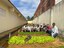Horta plantada na Escola Cívico-Militar Marcella