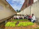 Horta plantada na Escola Cívico-Militar Marcella