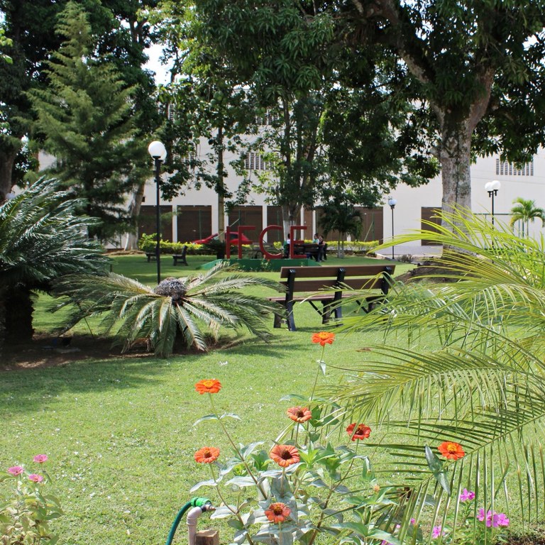 Roseira do campus.JPG Roseira do campus.JPG