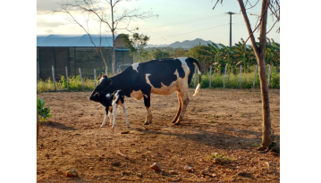 Mãe e filha passeando pelas instalações no fim da tarde 3