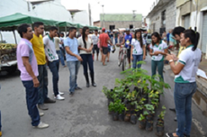 Agricultura Familiar