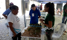 Manejo da Caatinga Manejo da Caatinga